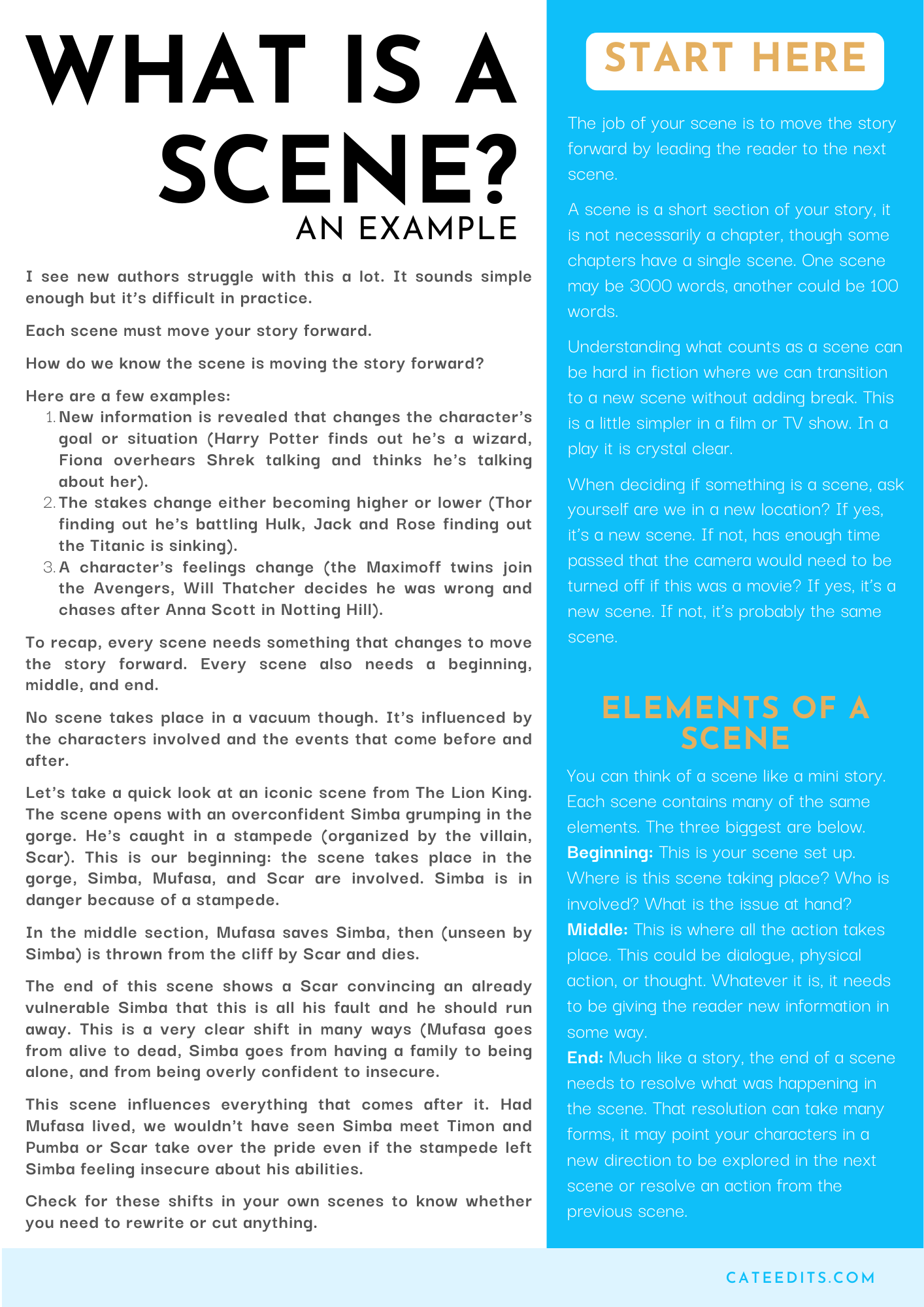 What Is a Scene Explainer